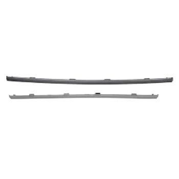 Rear Bumper Center Lower Molding